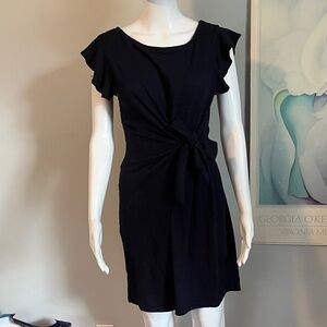 Max Studio Navy Blue Mini Dress with Ruffle Sleeves